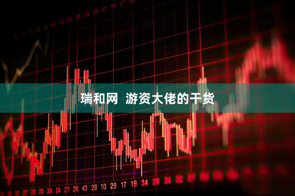 瑞和网  游资大佬的干货