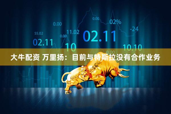 大牛配资 万里扬：目前与特斯拉没有合作业务